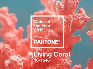 2019年潘通年度流行色「活力珊瑚橙」新鮮出爐